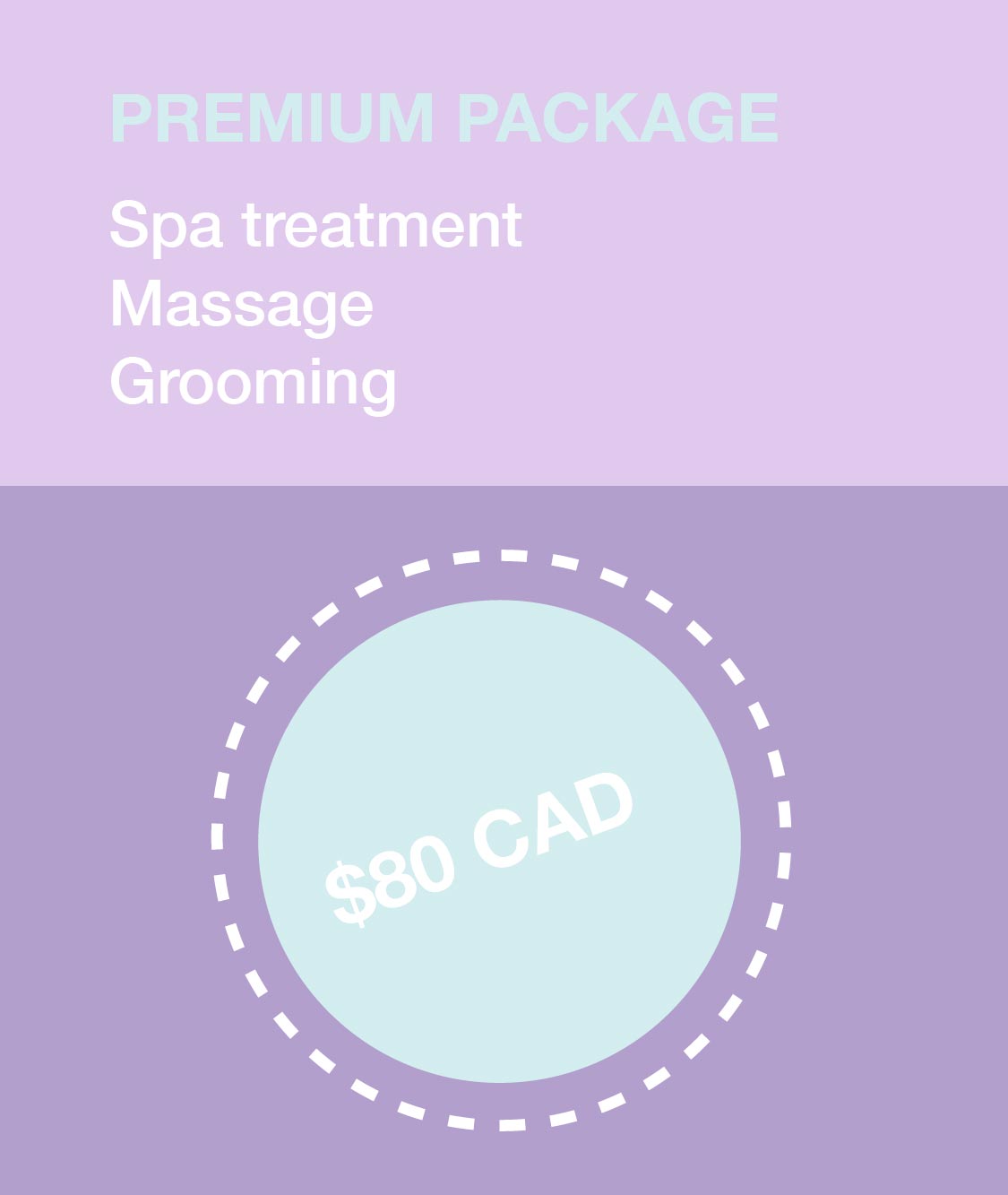 Premium package promotion at $80 includes spa treatment, massage and grooming